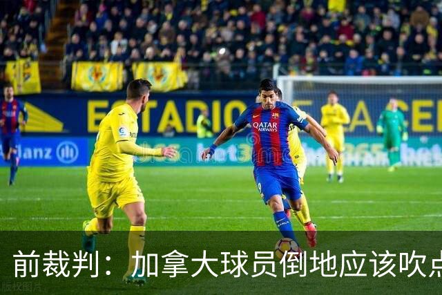 前裁判：加拿大球员倒地应该吹点球，VAR介不介入的标准不统一