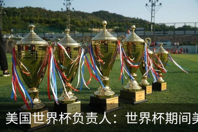 美国世界杯负责人：世界杯期间美国球场附近已发现一千多架无人机